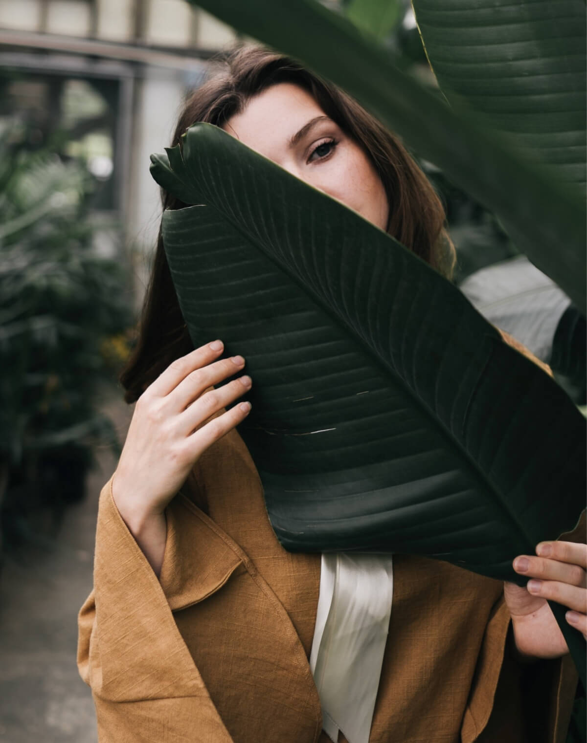 Since You Need A Green Light