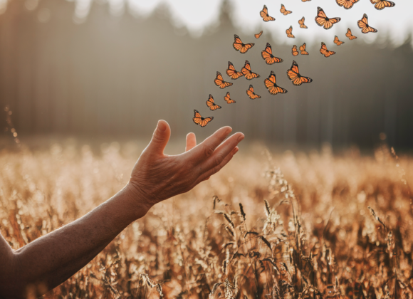 How to Forgive: A Biblical Guide to Letting Go
