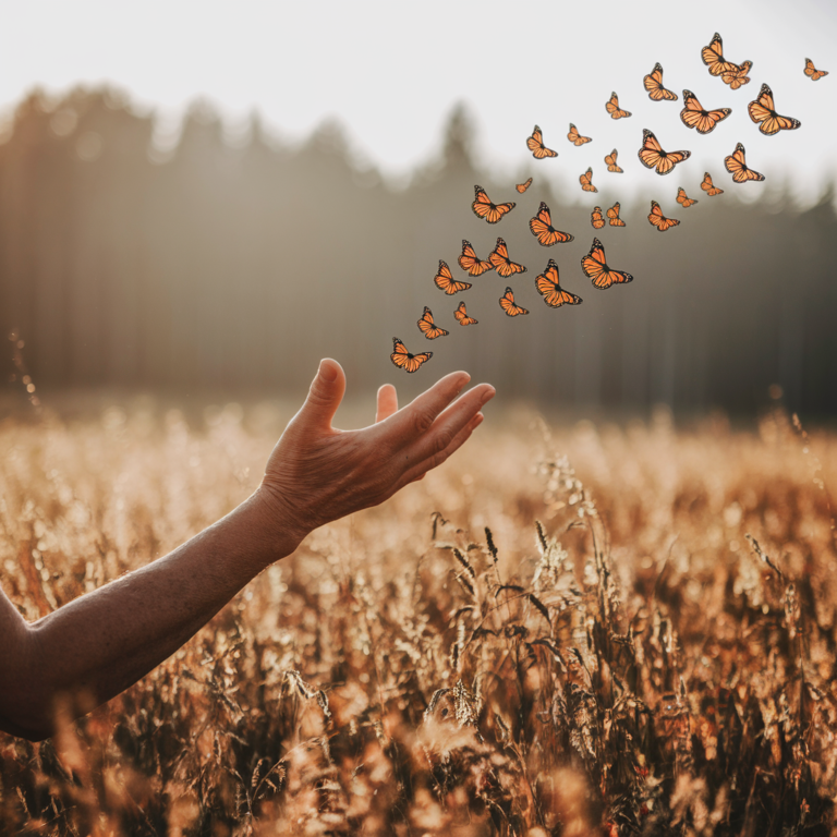 How to Forgive: A Biblical Guide to Letting Go